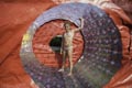 Zorb ZUMO